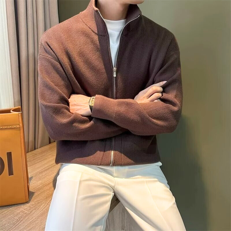 スタンドカラー ジップニット 着用イメージ ブラウン メンズ
